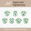 Amy'S Lentil Vegetable Soup - 14.5 Oz
