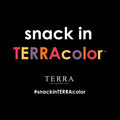 Terra Vegetable Chips, Original Chips with Sea Salt, 6.8 Oz