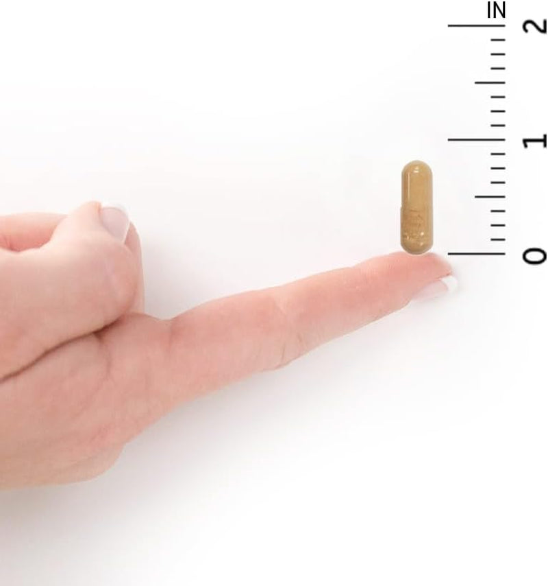 Garden of Life Vitamin B Complex, 120 Vegan Capsules, High Vitamins for Energy & Metabolism with B6, Folate & B12 as Methylcobalamin plus Probiotics