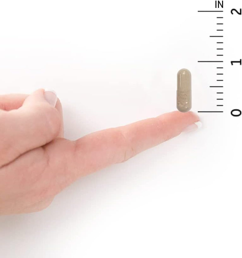 Garden of Life Vitamin Code Raw Vitamin C - 120 Capsules, 500Mg Whole Food Vitamin C Capsules + Fruit & Veggie Blend & Probiotics, Supplements for Adults, Vegan, Gluten Free