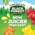 Black Forest Gummy Bears Candy, Made with Real Fruit Juice, Resealable Bag, 22 Ounce