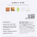 Simply Gum Natural Chewing Gum (Spearmint, 1 Pack)