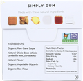 Simply Gum Natural Chewing Gum (Ginger, 15 Count (Pack of 1))