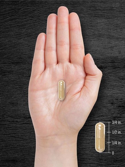 Carlyle Pygeum Supplement 1300Mg | 240 Capsules | Non-Gmo, Gluten Free | Africanum Bark Extract Supplement