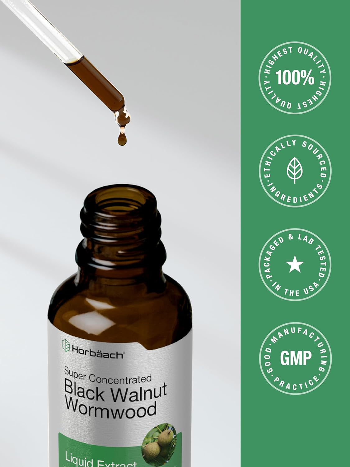 Horbäach Black Walnut Hull Wormwood Extract Tincture | 2 Fl Oz | Alcohol Free Liquid | Vegetarian, Non-Gmo & Gluten Free Supplement