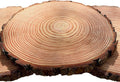 Rustic Wood Slices Set of (12) 9-10 Inch Natural Wood Slices Made in USA