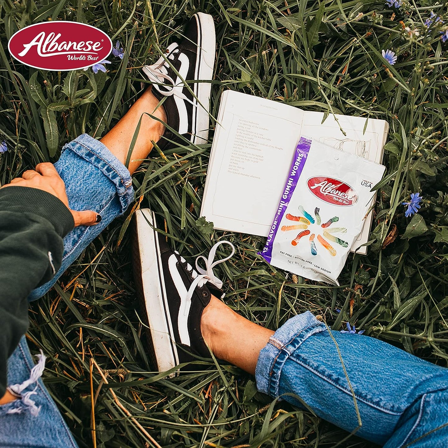 Albanese World'S Best 12 Flavor Mini Gummi Worms, 7.5Oz Case of 48