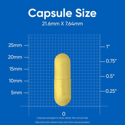 High  Vitamin B Complex 462Mg, 120 Capsules - with Vitamin C - Energy Complex