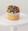 EDIBLE ACCENTS BRIGHT SEQUINS - Confectionery Accents, Gluten Free, Egg Free, Nuts Free, Kosher, Fancy Sprinkles Medley Mix, for Baking, Decorating, Cookies, Cupcakes, Cakes, Great Topping, Jimmies, Sugar Shapes, 2.75Oz
