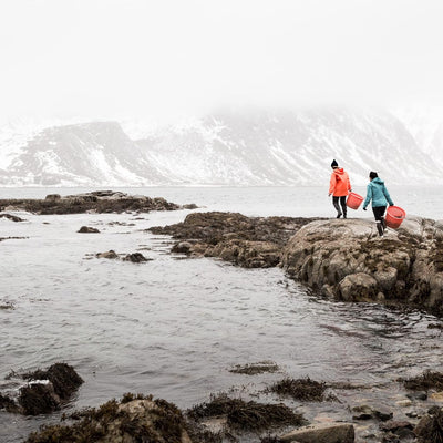 Lofoten Seaweed Spice Blends | Sustainable Norwegian Seaweed Superfood Seasoning | Vegan | Gluten-Free (BBQ & Meat)