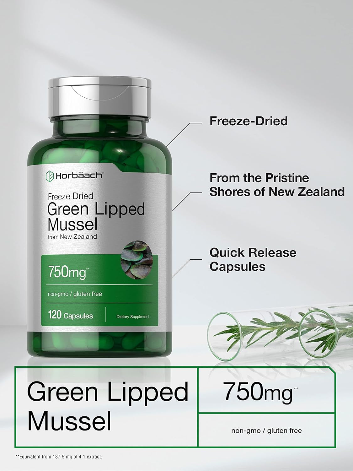 Horbäach Green Lipped Mussel | 750 Mg | 120 Capsules | from New Zealand | Premium Freeze Dried Mussel Powder | Non-Gmo and Gluten Free