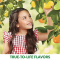 Jelly Belly Jelly Beans (Juicy Pear)-3.5 OZ (Packaging May Vary)