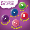 SKITTLES Wild Berry Summer Chewy Candy, Sharing Size, 15.6 Oz Bag