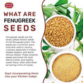Spicy World Fenugreek Seeds (Methi) 7 Ounce Bag - All Natural & Pure - Resealable Bag
