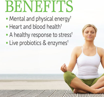 Garden of Life Vitamin B Complex, 120 Vegan Capsules, High  Vitamins for Energy & Metabolism with B6, Folate & B12 as Methylcobalamin plus Probiotics