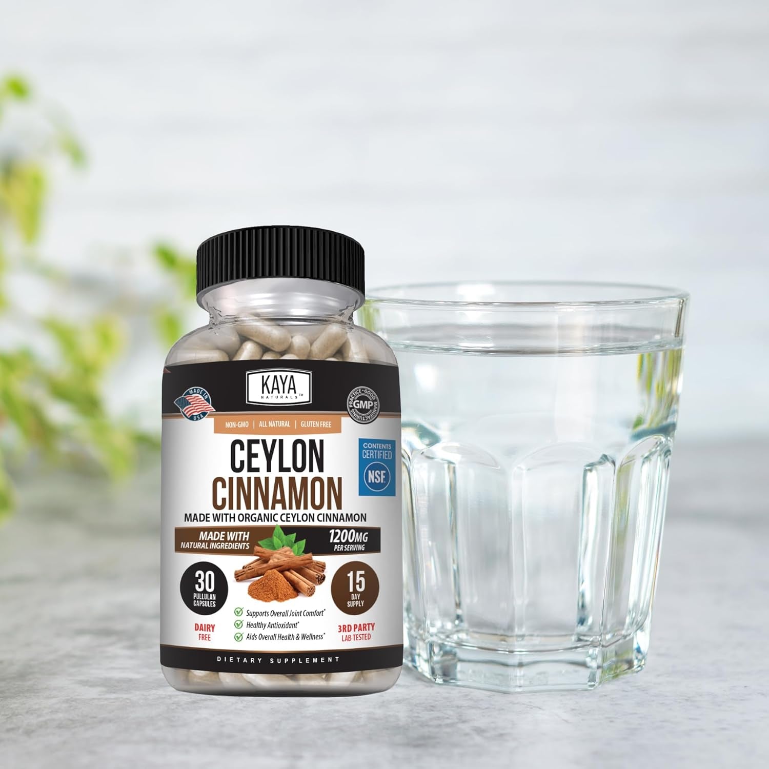 Naturals Ceylon Cinnamon Supplement | 1200Mg per Serving, Vegan - Non-Gmo & Gluten Free - 30 Capsules