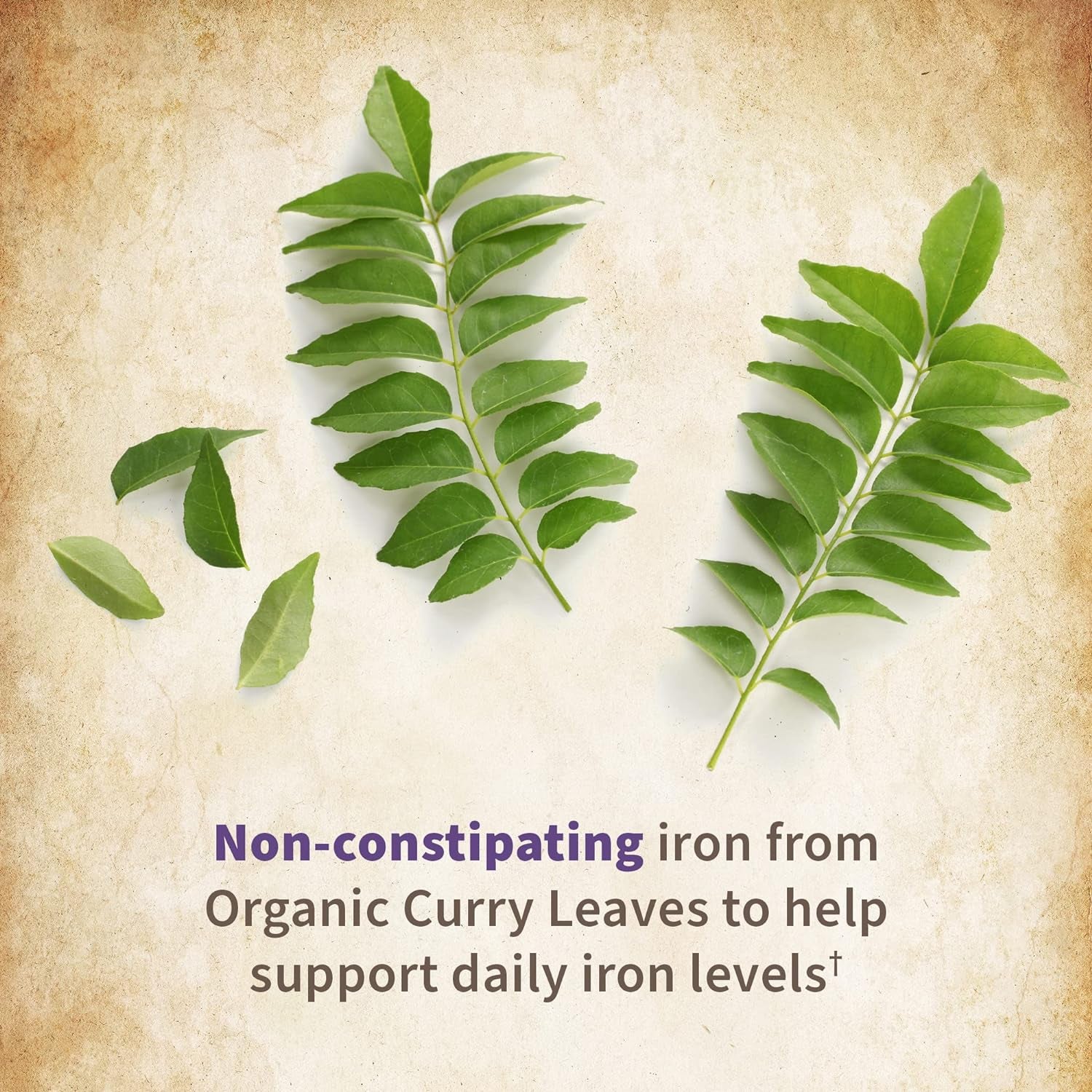 Garden of Life Organics Prenatal Vitamin: Folate for Energy & Healthy Fetal Development, Non-Constipating Iron, Vitamin C, B6, B12, D3 – Organic, Non-Gmo, Gluten-Free, Vegan, 30 Day Supply