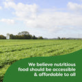 Knorr Rice Sides for a Tasty Rice Side Dish Rice Medley No Artificial Flavors, No Preservatives, No Added MSG 5.6 Oz
