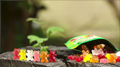Black Forest Organic Gummy Bears, 4 Ounce