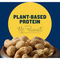 PLANTERS Dill Pickle Cashews, Whole Cashews, Individual Packs, Party Snacks, Plant-Based Protein, Quick Snack for Adults, after School Snack, Flavored Cashew, Roasted with Sea Salt, Kosher, 5Oz Bag