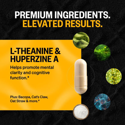 ONNIT Alpha Brain® Nootropic Brain Supplement for Men and Women, IGEN™ Non-Gmo Tested, Memory, Mental Clarity, Cognitive Support and Focus Capsules with L-Theanine and Vitamin B6 (90 Count)