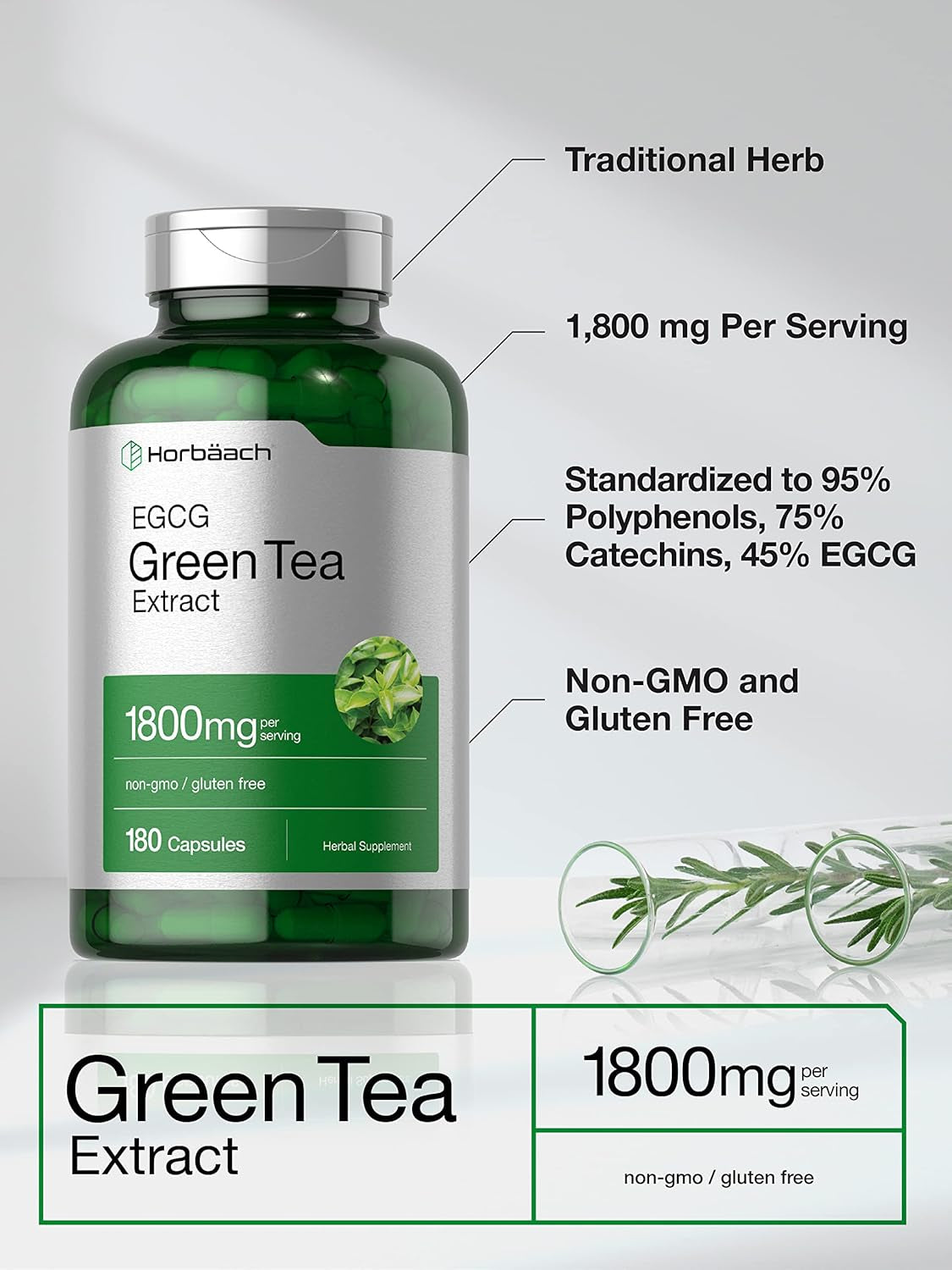 Horbäach EGCG Green Tea Extract Pills | 180 Capsules | Max  | Non-Gmo & Gluten Free Supplement