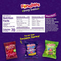 Funables Fruity Snacks, Mixed Berry Fruit Flavored Snacks, 0.8 Ounce Pouches (Pack of 10)