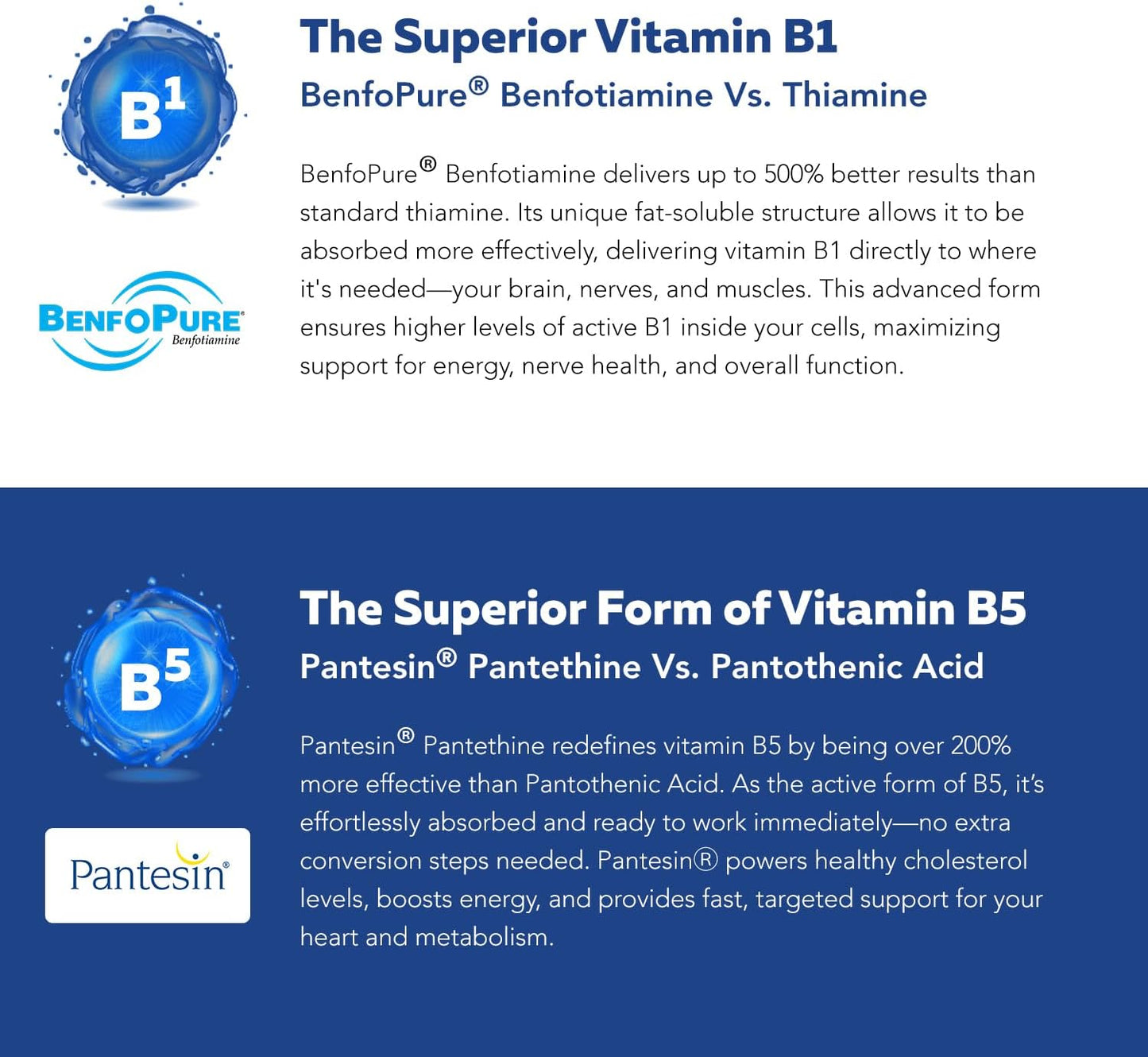 Bioactive Vitamin B Complex - Blood Stream Ready, Methylated B Complex - Featuring Methylfolate, 3 Bioactive Forms of B12, Benfopure® B1 & Pantesin® B5 - 12 B Vitamins in Clinical Doses - 60 Servings