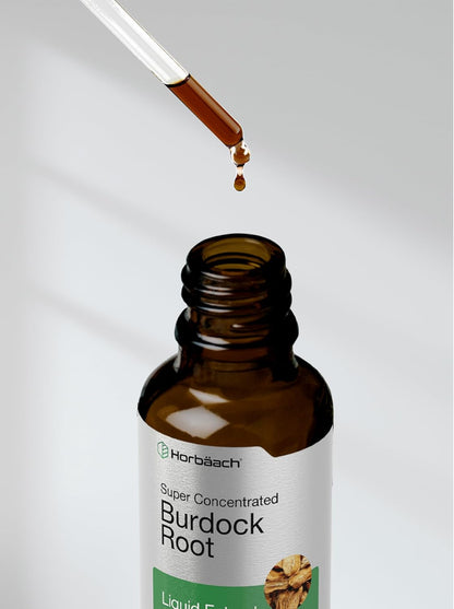 Horbäach Burdock Root Tincture | 2 Fl Oz | Super Concentrated Herb Extract | Vegetarian, Non-Gmo, Glutren Free, Alcohol Free