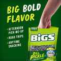 Bigs Vlasic Dill Pickle Sunflower Seeds, 16-Ounce