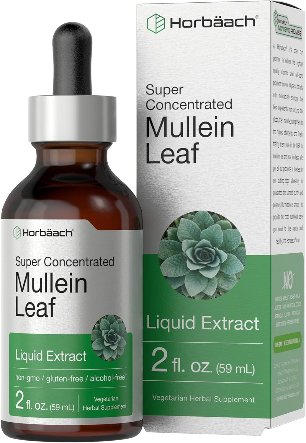 Horbäach Mullein Leaf Extract Drops | 2 Fl Oz | Alcohol Free Liquid Tincture | Vegetarian, Non-Gmo & Gluten Free Herbal Supplement