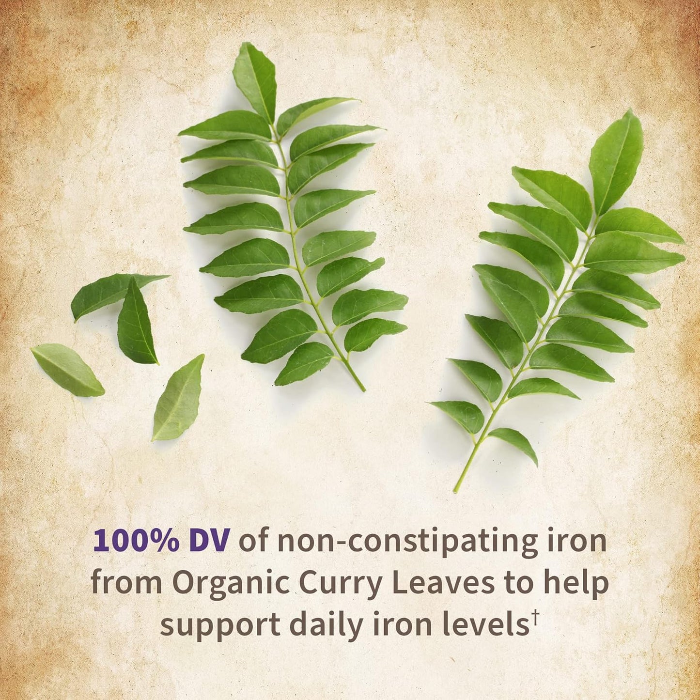 Garden of Life Organics Women’S Prenatal Multivitamin with Vitamin D3, B6, B12, C & Iron, Folate for Energy & Healthy Fetal Development – Organic, Non-Gmo, Gluten-Free, Vegan, 60 Day Supply