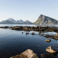 Lofoten Seaweed Spice Blends | Sustainable Norwegian Seaweed Superfood Seasoning | Vegan | Gluten-Free (BBQ & Meat)