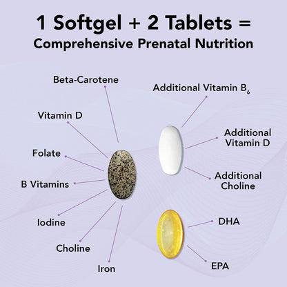 Theralogix Theranatal Complete Prenatal Vitamin Supplement - 91-Day Supply - with DHA, Vitamin D3, Folate, Iodine, Choline, Iron, Vitamin B6 & More - NSF Certified - 182 Tablets & 91 Softgels