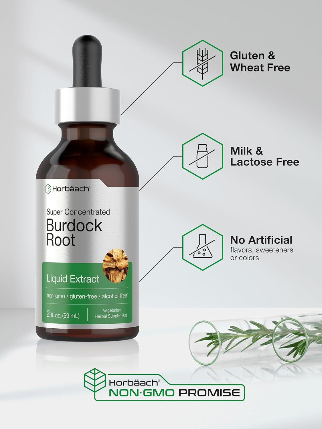 Horbäach Burdock Root Tincture | 2 Fl Oz | Super Concentrated Herb Extract | Vegetarian, Non-Gmo, Glutren Free, Alcohol Free