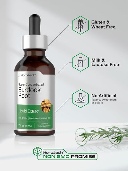 Horbäach Burdock Root Tincture | 2 Fl Oz | Super Concentrated Herb Extract | Vegetarian, Non-Gmo, Glutren Free, Alcohol Free