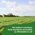 Knorr Rice Sides for a Tasty Rice Side Dish Herb & Butter Long Grain Rice and Vermicelli Pasta Blend No Artificial Flavors, No Preservatives, No Added MSG 5.4 Oz