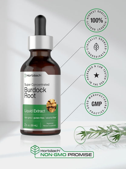 Horbäach Burdock Root Tincture | 2 Fl Oz | Super Concentrated Herb Extract | Vegetarian, Non-Gmo, Glutren Free, Alcohol Free