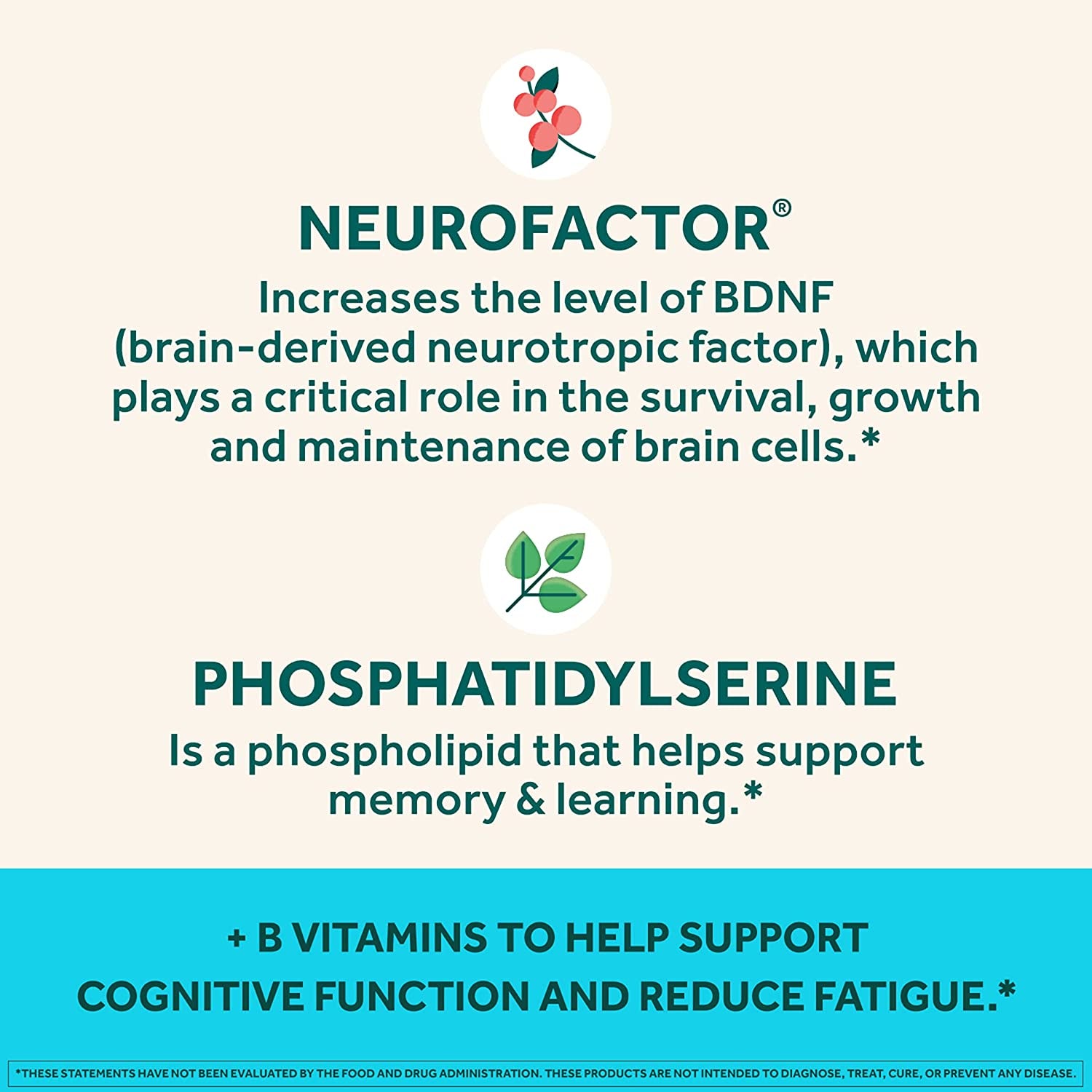 NEURIVA plus Brain Supplement for Memory,Focus & Concentration+Cognitive Function with Vitamins B6 & B12 and Clinically Tested Nootropics Phosphatidylserine and Neurofactor,50Ct Strawberry Gummies