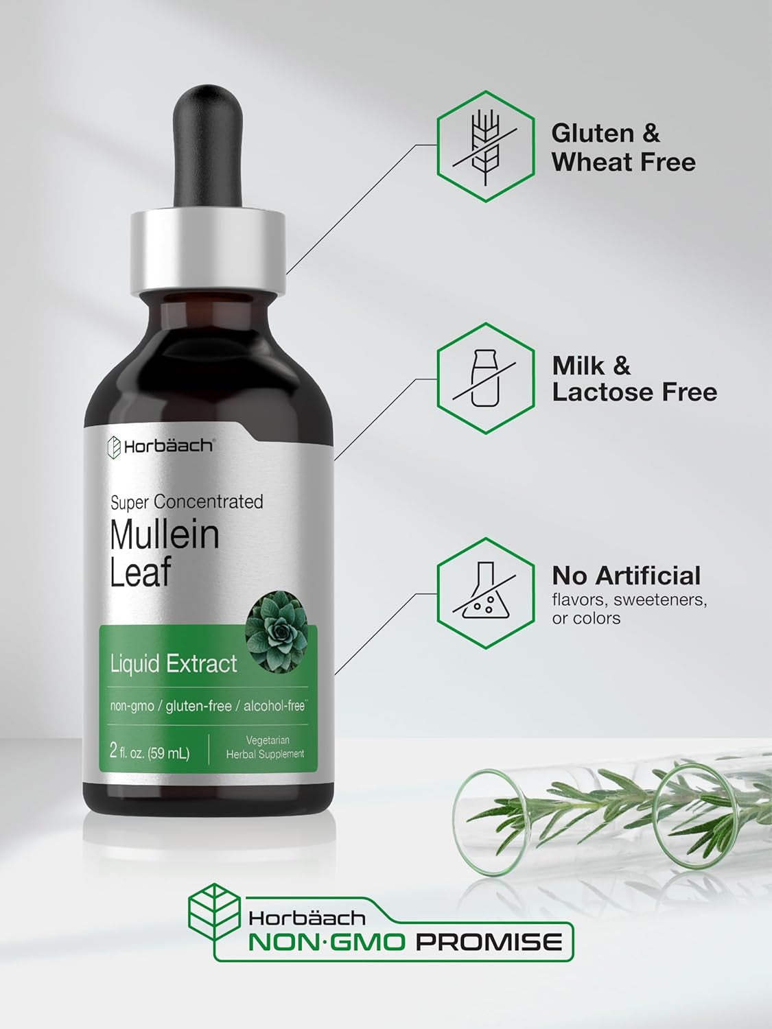 Horbäach Mullein Leaf Extract Drops | 2 Fl Oz | Alcohol Free Liquid Tincture | Vegetarian, Non-Gmo & Gluten Free Herbal Supplement