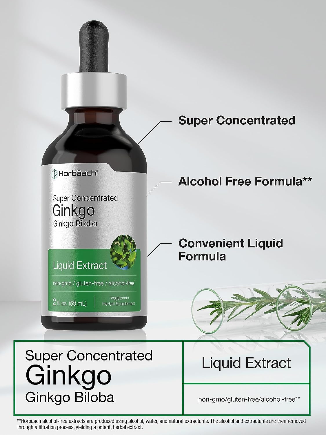 Horbäach Ginkgo Biloba Extract Liquid 2 Fl Oz | Alcohol-Free Herb Supplement | Vegetarian, Non-Gmo, Gluten Free