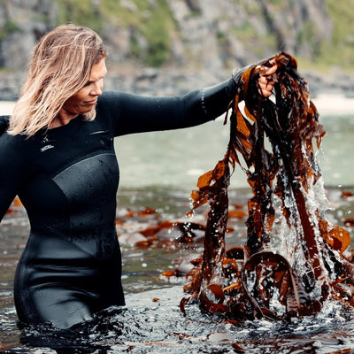 Lofoten Seaweed Spice Blends | Sustainable Norwegian Seaweed Superfood Seasoning | Vegan | Gluten-Free (BBQ & Meat)