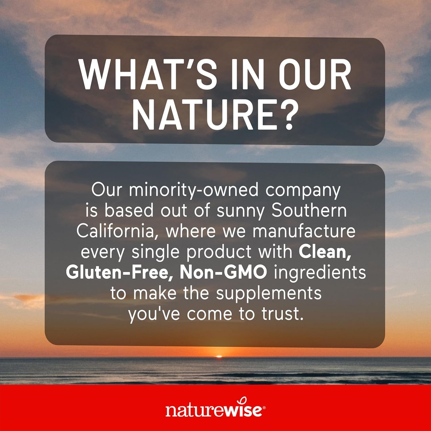 Naturewise Vitamin B12 1000 Mcg - Dietary Supplement for Supporting Energy Metabolism, Mental Clarity, Nervous System Health - Easy-To-Swallow, Soy & Gluten-Free, Non-Gmo - 60 Softgels[60-Day Supply]