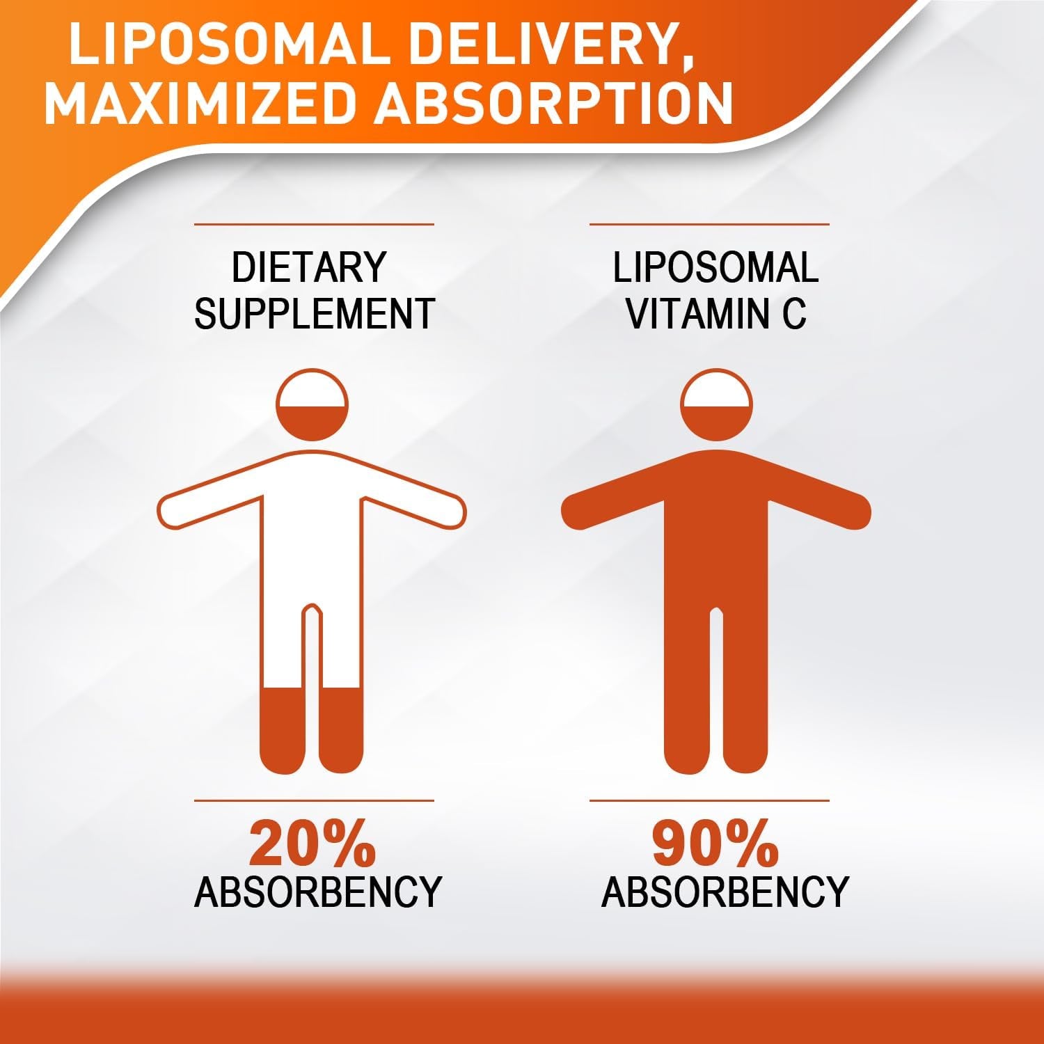 Liposomal Vitamin C 2000Mg Liquid for Adults, High Absorption VIT C, Maximize Vitamin C, Immune System & Antioxidant Support, 60ML (2 Bottle)