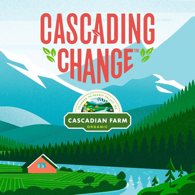Cascadian Farm Organic Vanilla Chip Chewy Granola Bars, 6 Bars, 7.4 Oz.