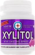 Lotte Xylitol Blueberry Mint Gum 2.04 OZ (Pack of 1)