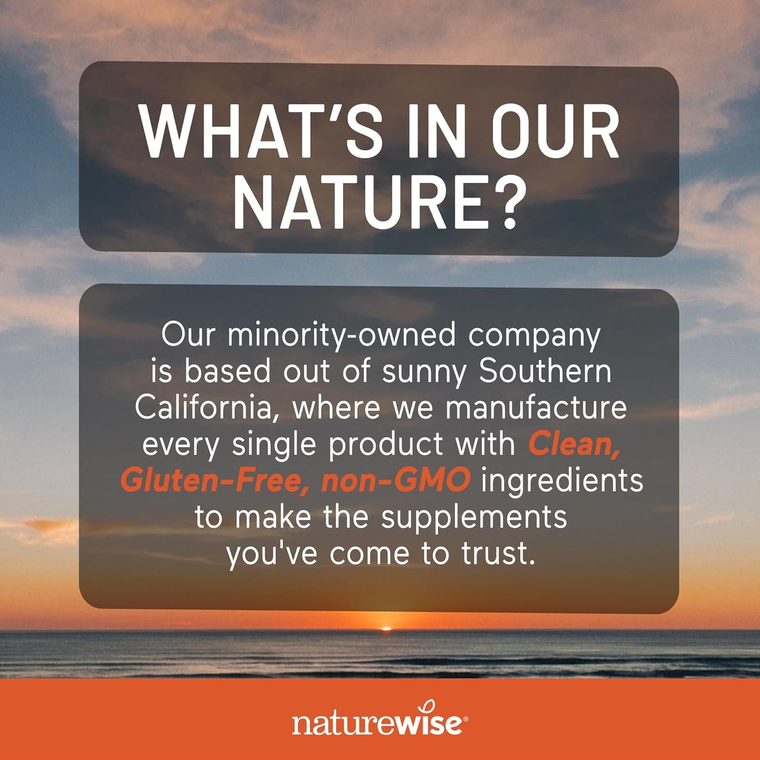 Naturewise Vitamin E 400 IU Softgels (180Mg Dl-Alpha) - Dairy, Gluten & Soy Free - Antioxidant-Rich Dietary Supplement for Skin, Heart, and Immune Health Support - 4-Month Supply, 120 Count