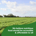 Knorr Chicken Rice No Artificial Flavors Chicken Rice Cooks in 7 Minutes, 5.6 Oz