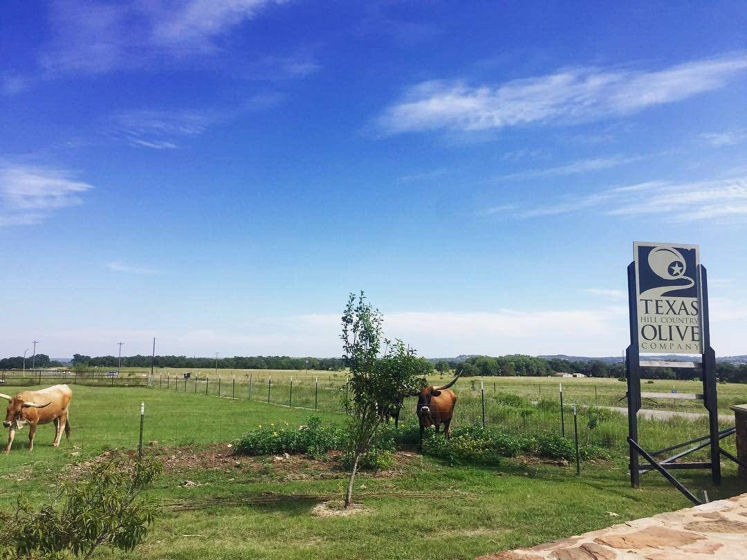 White Lemon Balsamic Vinegar -(8.5 Oz) Case of 12