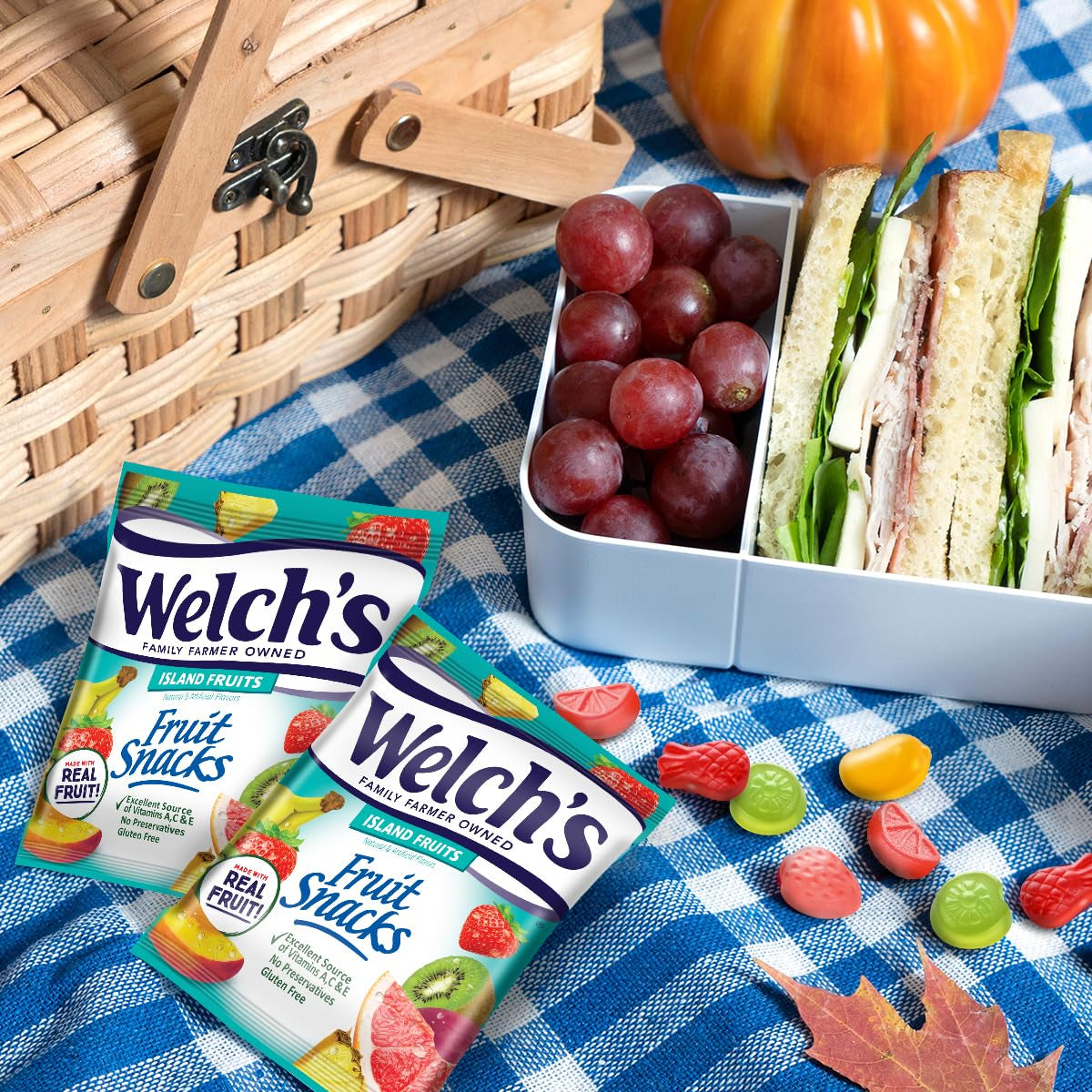 Welch'S Fruit Snacks, Fruit Punch & Island Fruits 0.8 Oz Case of 40